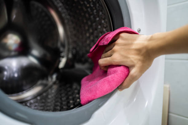  Havre De Grace, MD Mold Removal Pros