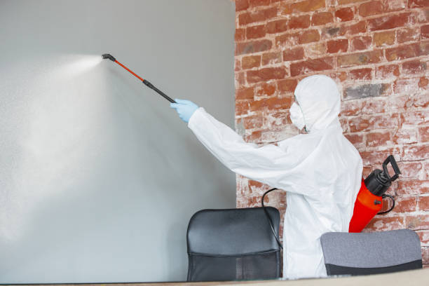 Best Mold Prevention Services  in Havre De Grace, MD