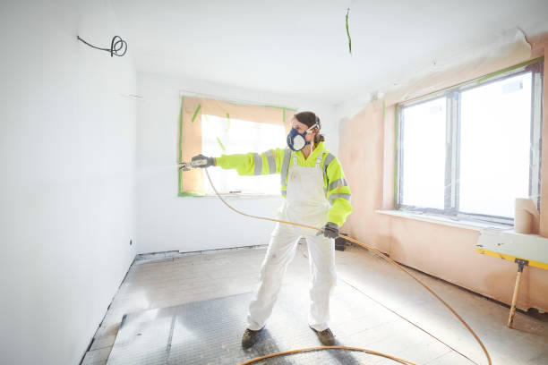 Best Basement Mold Removal  in Havre De Grace, MD