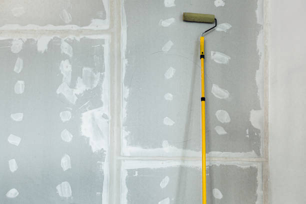 Havre De Grace, MD Mold Removal Company