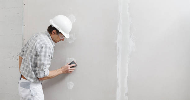 Best Water Damage & Mold Remediation  in Havre De Grace, MD