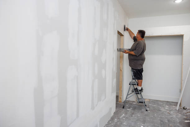 Asbestos and Lead Testing During Mold Inspection in Havre De Grace, MD