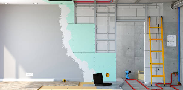 Best Attic Mold Removal  in Havre De Grace, MD
