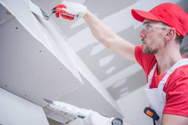Best Asbestos and Lead Testing During Mold Inspection  in Havre De Grace, MD
